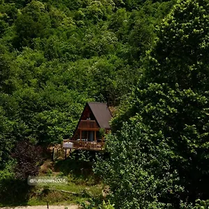 Thoma's Hut-თომას ქოხი مكان تخييم